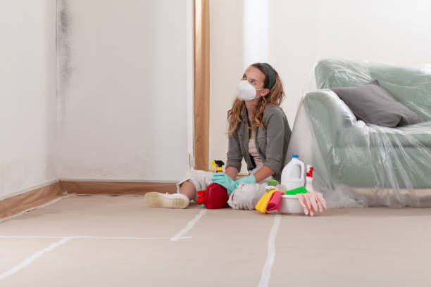 Reliable Mold Inspection And Testing contractor in Sanford, NC by Car Mold Remediation